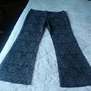 Wet Seal Flared Hiphuggers